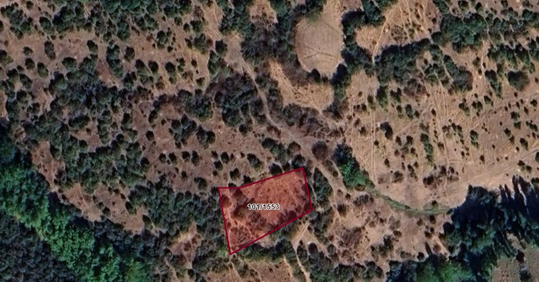 8.BALIKESİR KEPSUT SAYACIK KÖYÜNDE 930  M² BAHÇEMİZ SATILIKTIR.  